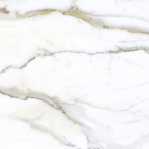 import placeholder for 6041