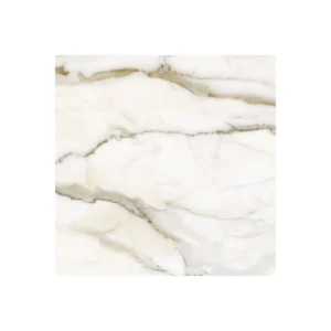 import placeholder for 6039