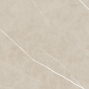 import placeholder for 6003