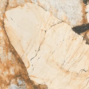 import placeholder for 5445